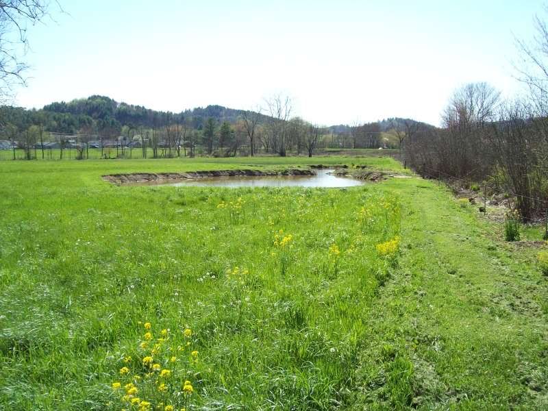 Tennessee mountain land for sale by owner Classified Ads Buy and